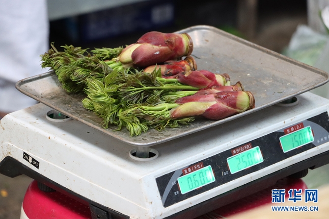 1310527846_16481137315211n