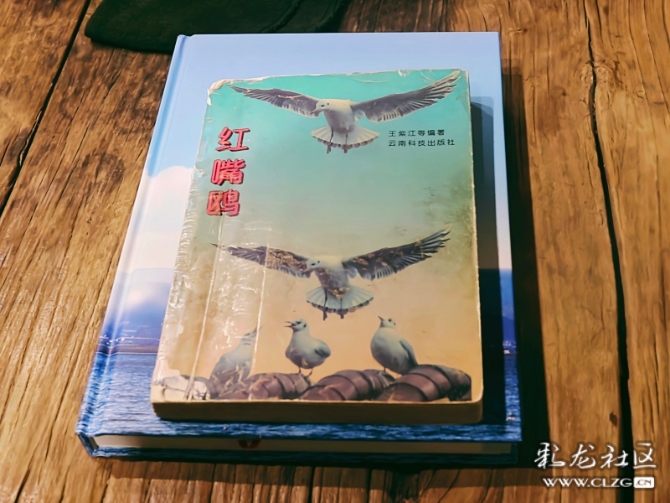 c0ofum4mubb7s7tjmn4x3whfr