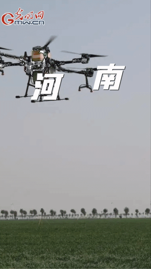 【“動(dòng)”漫海報(bào)】春耕備耕 農(nóng)資先行 各地各部門(mén)多措并舉推動(dòng)農(nóng)資穩(wěn)價(jià)保供 【“動(dòng)”漫海報(bào)】春耕備耕 農(nóng)資先行 各地各部門(mén)多措并舉推動(dòng)農(nóng)資穩(wěn)價(jià)保供