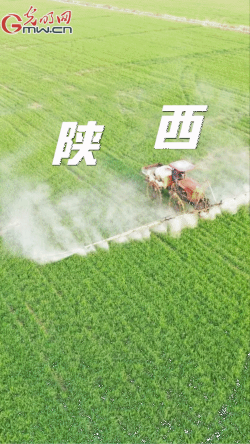 【“動(dòng)”漫海報(bào)】春耕備耕 農(nóng)資先行 各地各部門(mén)多措并舉推動(dòng)農(nóng)資穩(wěn)價(jià)保供 【“動(dòng)”漫海報(bào)】春耕備耕 農(nóng)資先行 各地各部門(mén)多措并舉推動(dòng)農(nóng)資穩(wěn)價(jià)保供