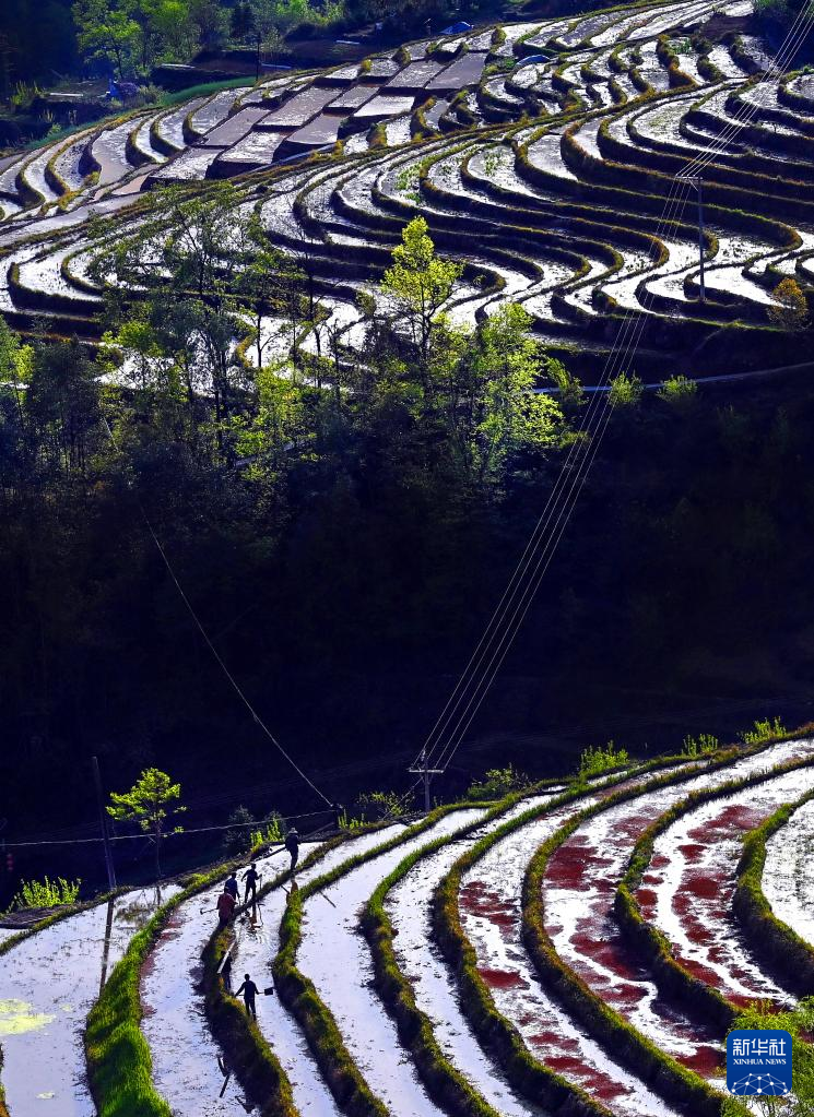 202203305160994a2ec14204befde9b27344db06_100nxbSHDgUc8pHcSur.jpg 202203305160994a2ec14204befde9b27344db06_100nxbSHDgUc8pHcSur.jpg