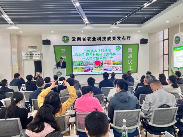 云南研發(fā)低成本冷萃凍干咖啡加工技術(shù) 春城晚報-開屏新聞記者 楊質(zhì)高 文 云南省農(nóng)業(yè)科學(xué)院供圖