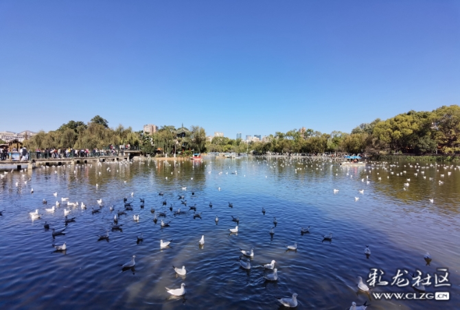 16486495976541720383226321791_5434 16486495976541720383226321791_5434