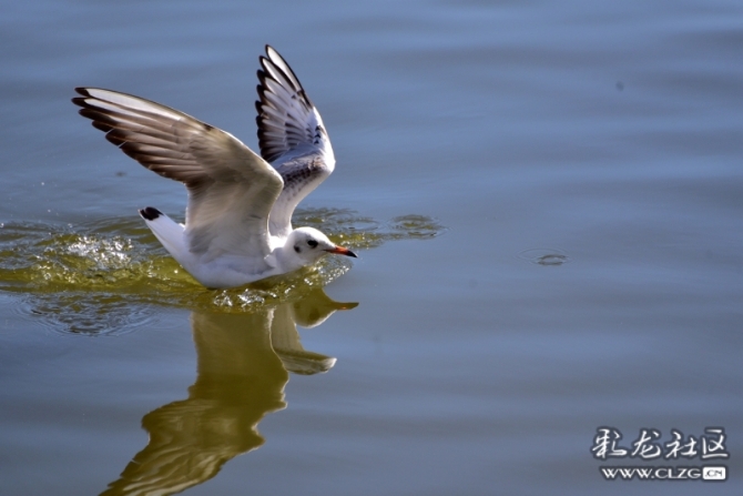 16486495974856771749743199610_5434 16486495974856771749743199610_5434