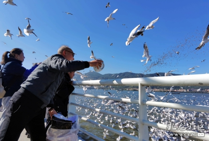 16486495974965957294921766076_5434 16486495974965957294921766076_5434