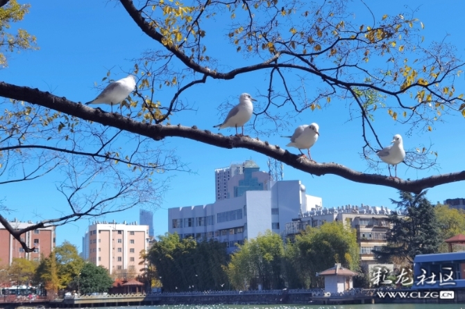 16486495976223089203475929261_5434 16486495976223089203475929261_5434