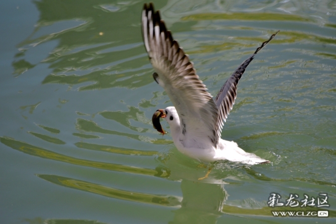 16486495975102257426992589137_5434 16486495975102257426992589137_5434