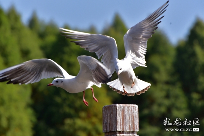 16486495978918951447193544385_5434 16486495978918951447193544385_5434