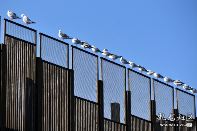 16486495974913063455967382301_5434 16486495974913063455967382301_5434