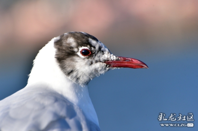 16486495974632954419448350647_5434 16486495974632954419448350647_5434