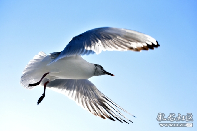 16486495978728785255441290832_5434 16486495978728785255441290832_5434