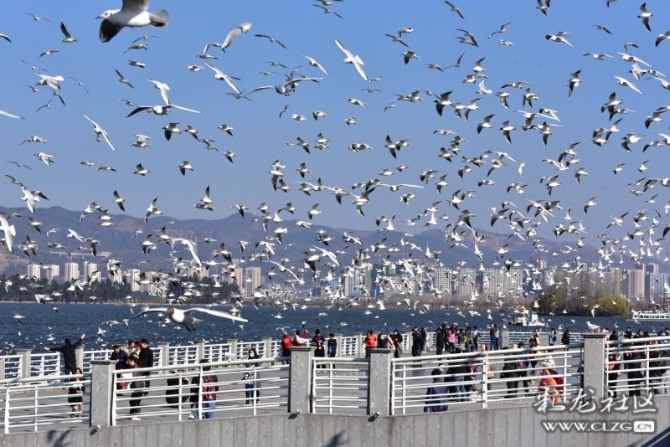 16486495976157159777808533496_5434 16486495976157159777808533496_5434