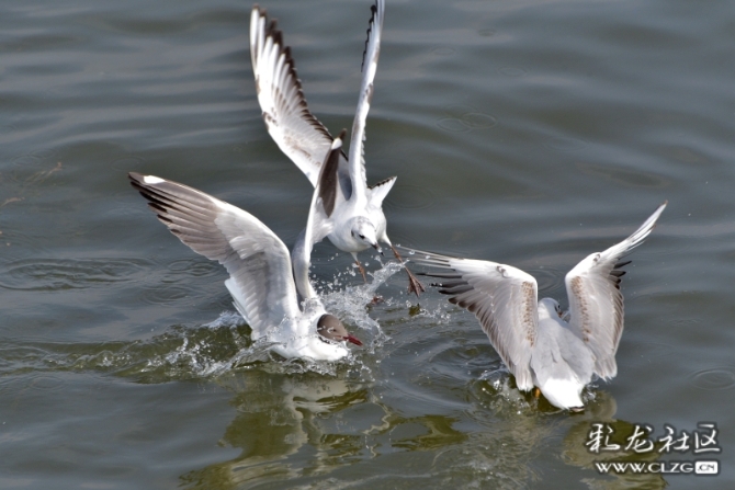 16486513898525257246624720485_5434 16486513898525257246624720485_5434