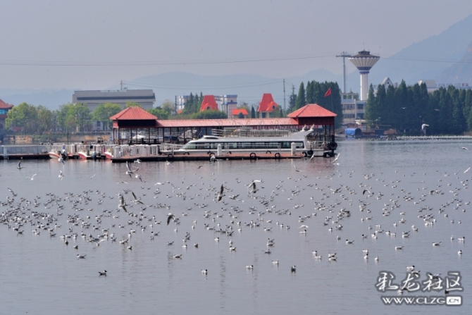 16486513896812942658093418604_5434 16486513896812942658093418604_5434