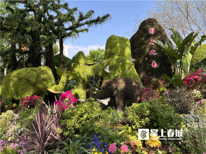 微信圖片_20220331211351