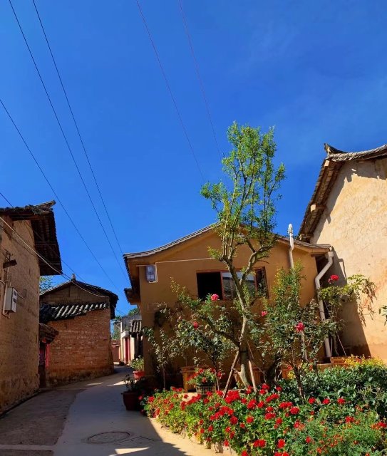 【清明踏春】昆明安寧愜意一日游(安寧市委宣傳部 供圖)