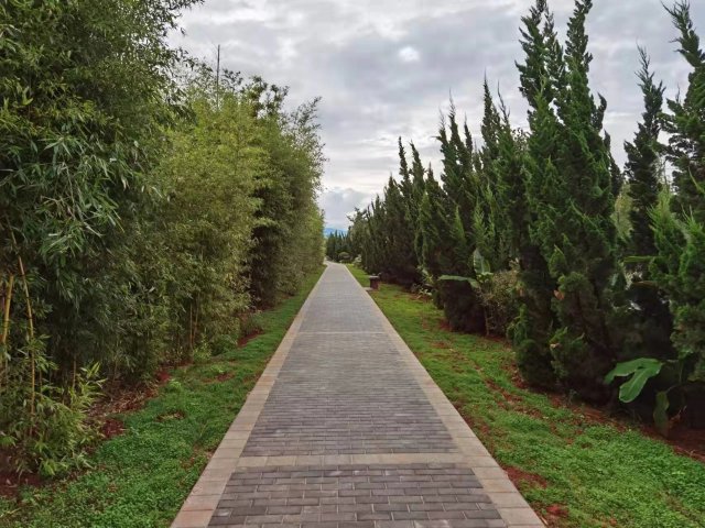 【清明踏春】呈貢江尾村(江尾社區(qū) 呈貢區(qū)融媒體中心 供圖)