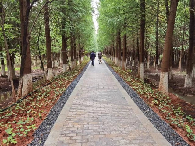 【清明踏春】呈貢江尾村(江尾社區(qū) 呈貢區(qū)融媒體中心 供圖)