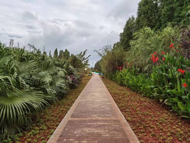 【清明踏春】呈貢江尾村(江尾社區(qū) 呈貢區(qū)融媒體中心 供圖)