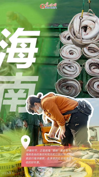 【海報】又是一年好光景，大江南北忙春耕