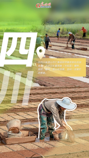 【海報】又是一年好光景，大江南北忙春耕