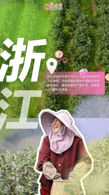 【海報】又是一年好光景，大江南北忙春耕