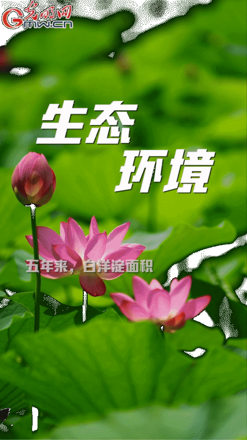 【“動”漫海報(bào)】雄安新區(qū)：五年奮進(jìn)加速蝶變 未來之城欣欣向榮