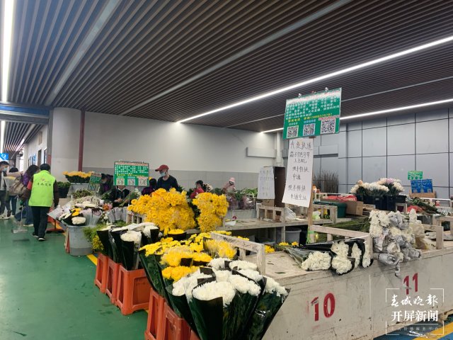 清明將近，斗南菊花上漲4-5元，每天銷售300札，預(yù)計(jì)將迎來購買熱潮 春城晚報-開屏新聞 記者 孫江葒 實(shí)習(xí)生 劉倬君 攝影報道