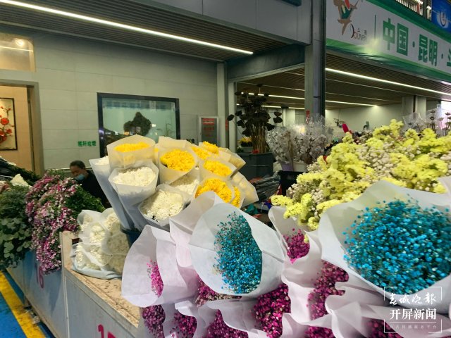 清明將近，斗南菊花上漲4-5元，每天銷售300札，預(yù)計(jì)將迎來購買熱潮 春城晚報-開屏新聞 記者 孫江葒 實(shí)習(xí)生 劉倬君 攝影報道