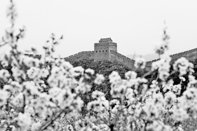 以法之名，捍衛(wèi)英烈榮光