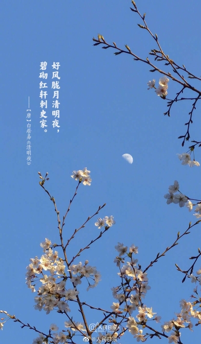 1648950077927240.jpg?x-oss-process=style/w10 4.jpg?x-oss-process=style/w10