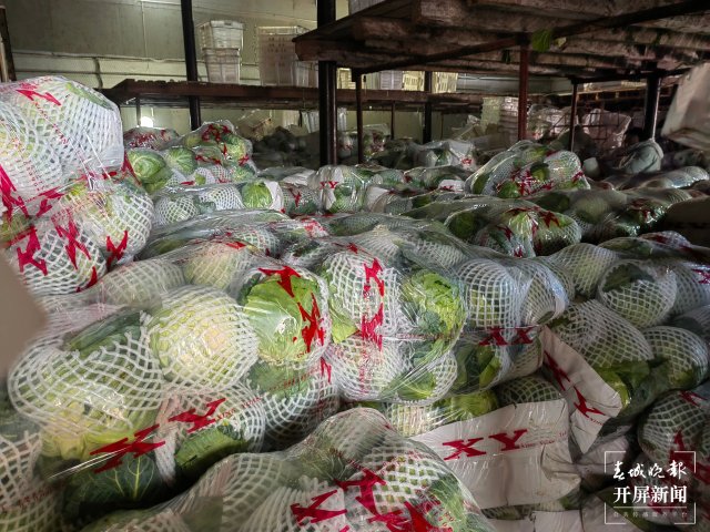 云南通海愛心企業(yè)采購80噸蔬菜馳援上海(開屏新聞?dòng)浾?李春麗 通訊員 胡 婷 吳文汝 攝)