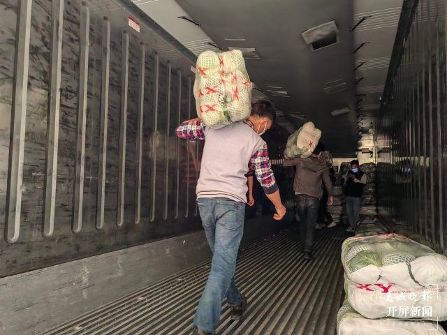 云南通海愛心企業(yè)采購80噸蔬菜馳援上海(開屏新聞?dòng)浾?李春麗 通訊員 胡 婷 吳文汝 攝)