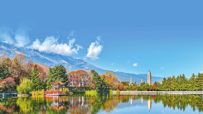 2dc63388-4afa-4da8-9f3e-0f90c9b98554