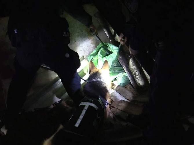 圖為警犬查獲毒品的現(xiàn)場照片.png?x-oss-process=style/w10