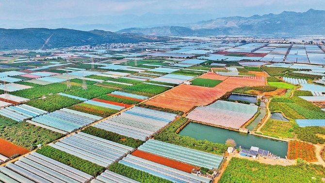 0e5afd4f-b22c-432c-9c70-093303434982 0e5afd4f-b22c-432c-9c70-093303434982