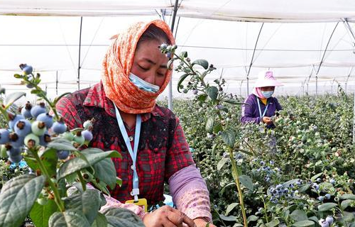 00304609730_930c57ad