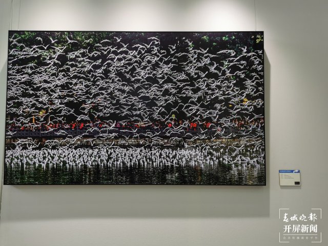 《從貝加爾湖飛來的精靈》攝影作品展在昆開展（開屏新聞記者 李賽 攝）