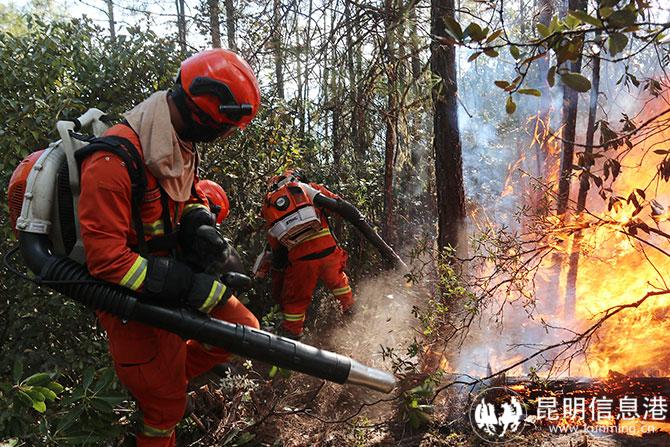2、中隊參加滅火作戰(zhàn)
