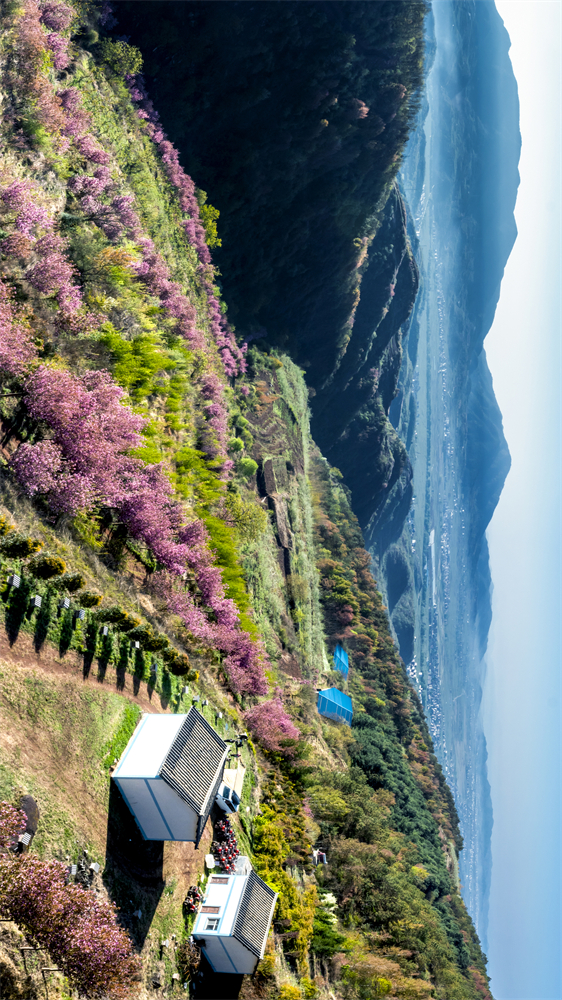 code_ynrb3b95d917-f958-48cc-8170-b3167ef6355a code_ynrb3b95d917-f958-48cc-8170-b3167ef6355a