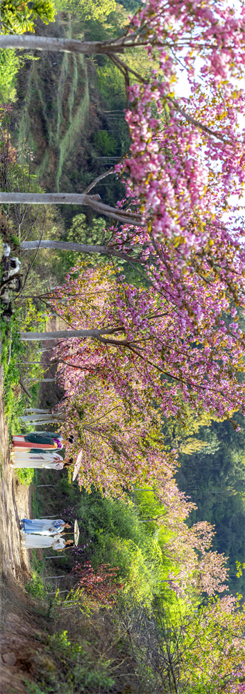 code_ynrb4b0f7979-610c-4fd5-87e7-c334a8576f41 code_ynrb4b0f7979-610c-4fd5-87e7-c334a8576f41