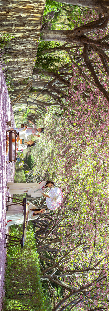 code_ynrb349f5692-11ce-4c89-b97a-886d15076be7 code_ynrb349f5692-11ce-4c89-b97a-886d15076be7