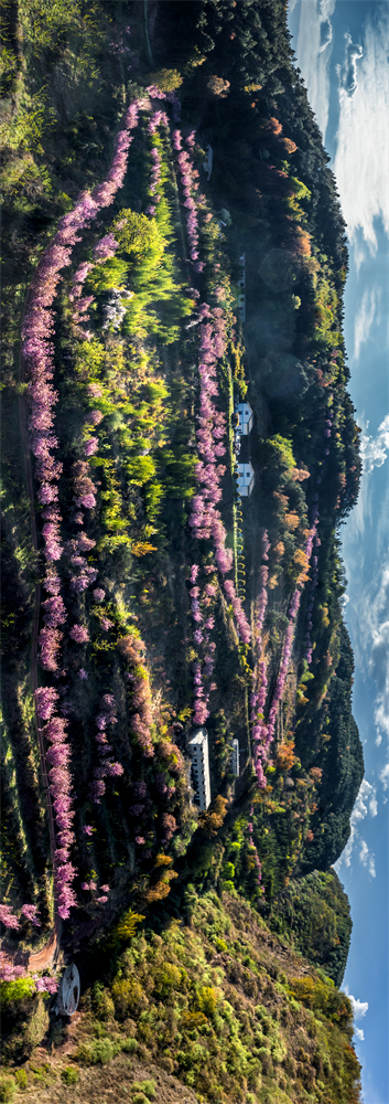 code_ynrba74dc856-3240-4b7a-9eb9-f52bdac30584 code_ynrba74dc856-3240-4b7a-9eb9-f52bdac30584