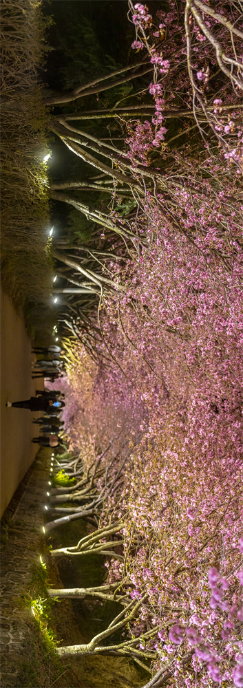 code_ynrbab328089-c797-4c07-8f91-ef52bb18d78f code_ynrbab328089-c797-4c07-8f91-ef52bb18d78f