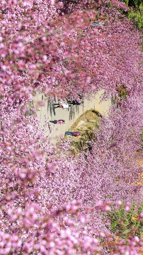 code_ynrbb7d0ecb0-12e4-4791-b0cf-c276bf9a1516 code_ynrbb7d0ecb0-12e4-4791-b0cf-c276bf9a1516