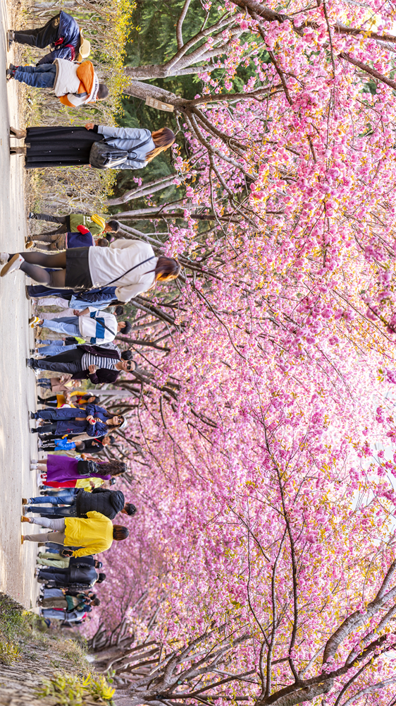 code_ynrbe5404423-b145-46df-9bcc-66d9c102f784 code_ynrbe5404423-b145-46df-9bcc-66d9c102f784