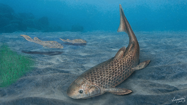 會(huì)澤滇雙翼魚生態(tài)復(fù)原圖 (羅彥超、馬萌繪-FZ100413421325.jpg