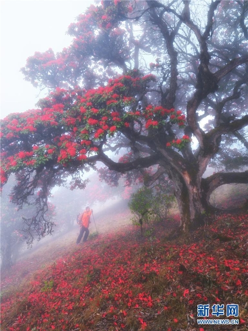 1310559575_16499967982111n 1310559575_16499967982111n