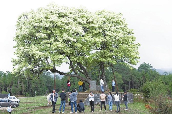 5beefd47-8cf0-4aa3-a752-02f6675f4ee4.jpg 5beefd47-8cf0-4aa3-a752-02f6675f4ee4.jpg