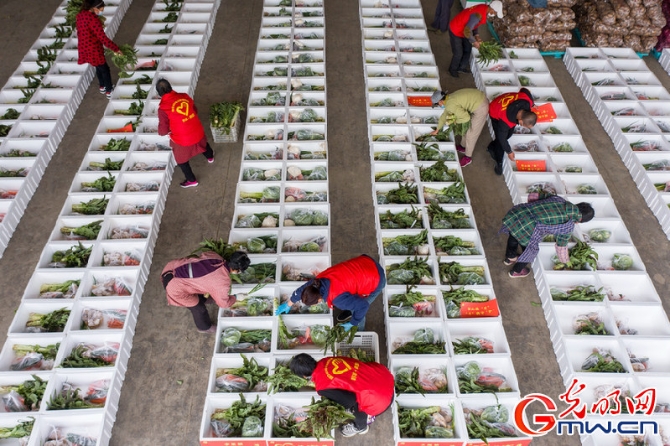 【組圖】“守滬者聯(lián)盟”丨江蘇海安:150噸蔬菜馳援上海 【組圖】“守滬者聯(lián)盟”丨江蘇海安:150噸蔬菜馳援上海